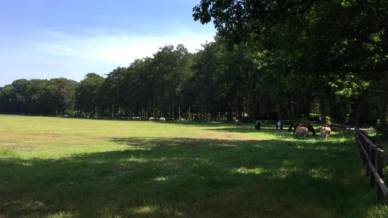 Boerderij De Enkhoeve Laag-Soeren 외부 사진