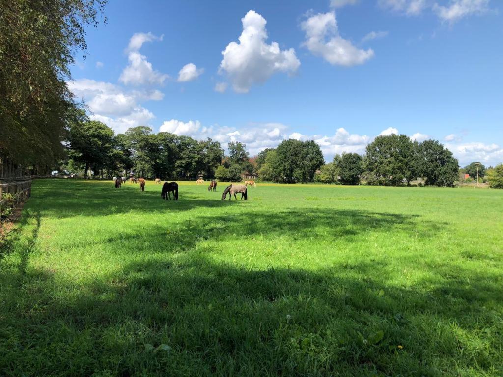 Boerderij De Enkhoeve Laag-Soeren 외부 사진